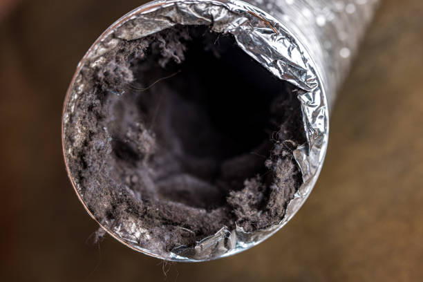Best Ventilation Cleaning Services  in Marathon, FL